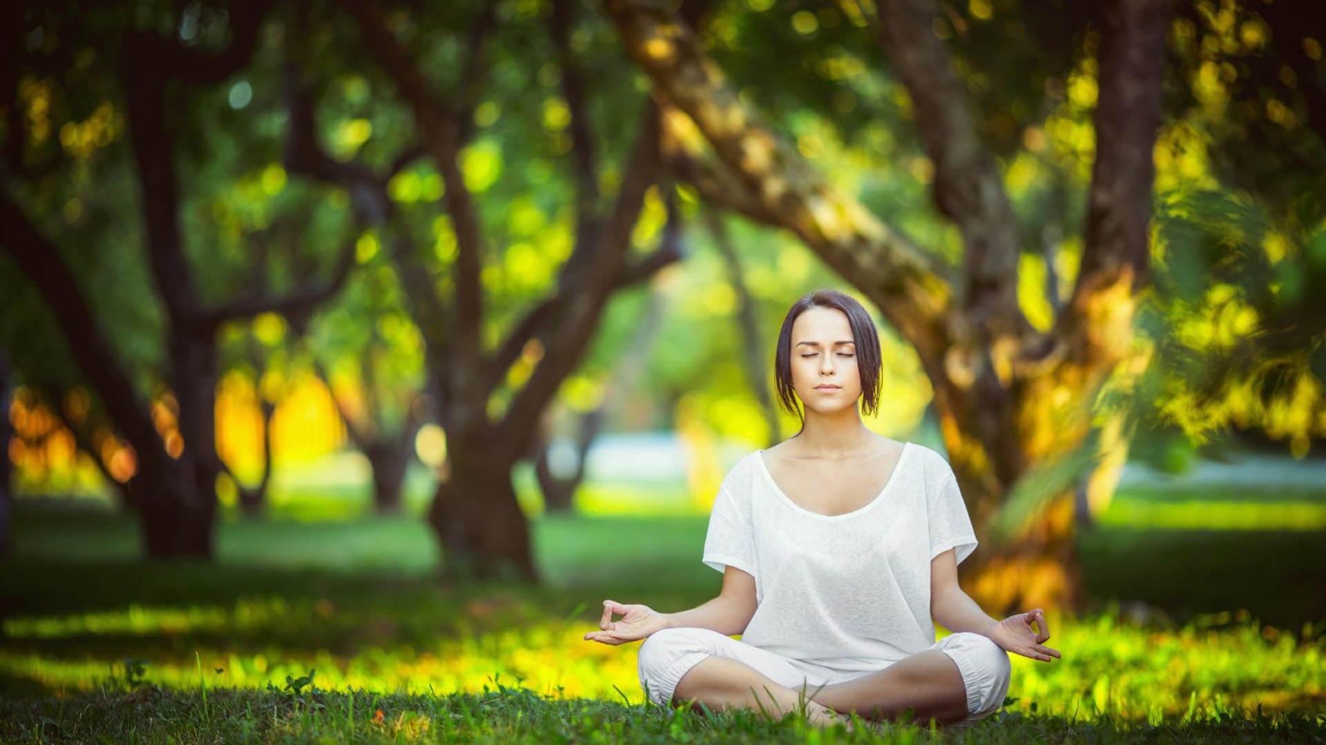 东契奇新星闪耀,比分碾压显统治力,瑞士队虽败犹荣未来可期